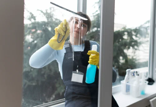 Nettoyage de vitres intérieures et extérieures à Eysus